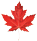 The Real Canadian Storm Door - maple leaf image.